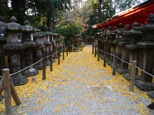 Nara Kasugataisha Shrine 3 Nov 2006